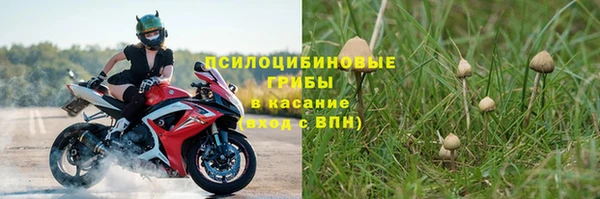 круглые Бронницы